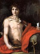 Andrea del Sarto The Young St.John oil on canvas